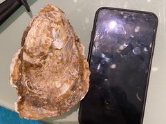 -千岛蚝高压锅生蚝·人参火锅(白云万达店)