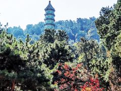 -香山公园