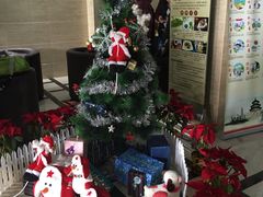 -明珠湖天鹅苑·农家菜馆