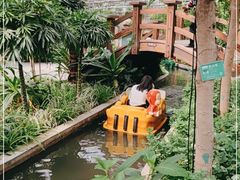 -南宫五洲植物乐园