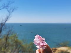 -大连金石滩滨海国家地质公园