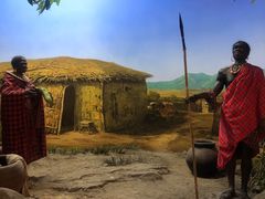 -国家自然博物馆