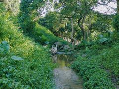 -阳台山森林公园