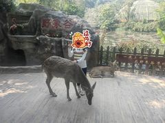 -野象谷景区