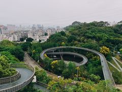 -福道