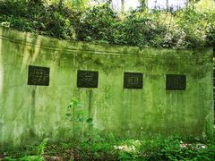 -午潮山国家森林公园
