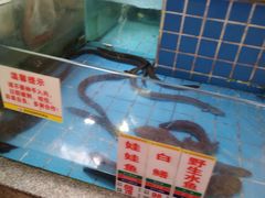 -花好悦园(瀛洲店)