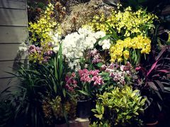 -春暖花开(西溪店)