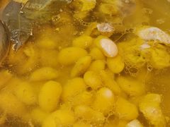 -先机泉水鸡汤(南山老君洞店)