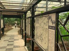 -上海都市菜园