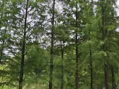 -狼山风景名胜区