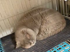 -小时光咖啡馆(北锣鼓巷店)
