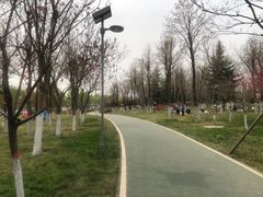 -洨河生态公园