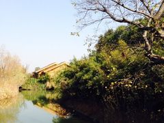 iphone_upload_pic-梁鸿国家湿地公园