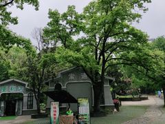 -WeLope紫金山探险公园