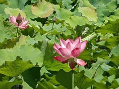 -时间仓(月湖公园店)