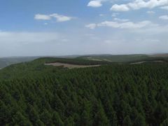 -塞罕坝国家级自然保护区