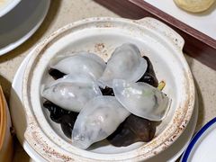石锅鱼茸角-点都德(德江楼店)