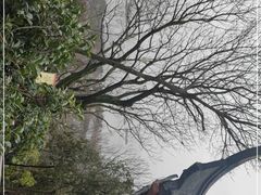 -狼山风景名胜区