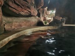 -中家鑫园温泉酒店鑫悦汤泉