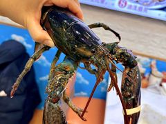 -来之顺海鲜菜馆·青岛菜·始于1993(栈桥店)