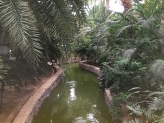 -龙达温泉生态城