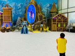 -世界之窗阿尔卑斯冰雪世界