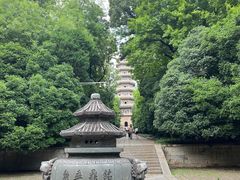 -灵谷景区