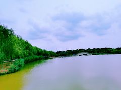 -塘沽森林公园