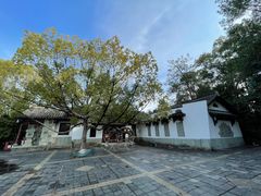 -宝荣鱼馆·临湖之宴(千岛湖店)