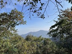 -青城山