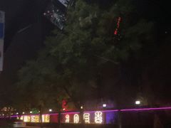 -枫花园汽车电影院(朝阳公园店)