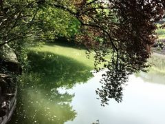 -嘉定紫藤园