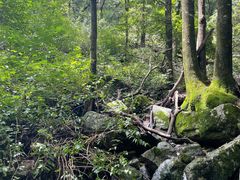 -尧山风景区