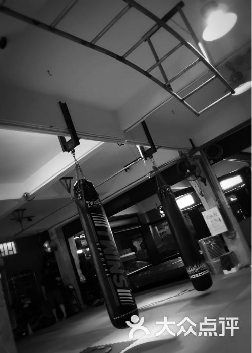 铁龙综合搏击会图片 - 第132张