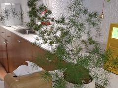 -Cafe on warm(丹霞店)