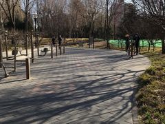 -北极寺公园