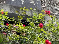 -白帝城·瞿塘峡景区