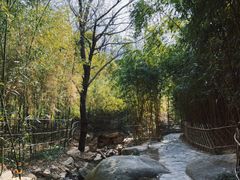 -竹子庵公园