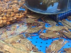 -鲜得莱渔港·小平岛海胆馆(七贤岭店)