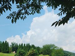 -棒棰岛宾馆景区