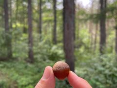 -长春净月潭风景名胜区