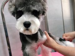 -宠福鑫康馨动物医院·骨科·眼科
