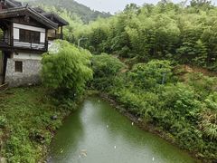 -大唐贡茶院