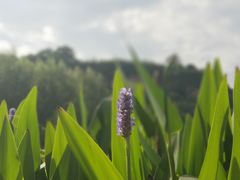 -渭南桃花源民俗文化园