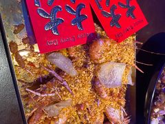 -钳真多钓虾馆·小龙虾海鲜烧烤(九六广场店)