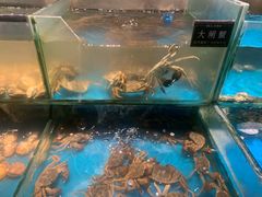 -SEA西雅图海鲜自助餐厅(海乐世界店)