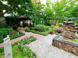 -莲生母婴月子中心(清水河公园店)