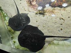 -嘉兴海底世界
