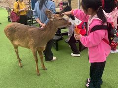 -盈香心动乐园